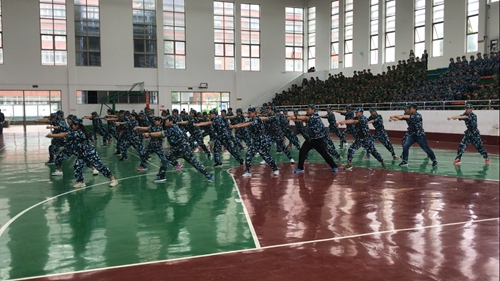 2016军训照片_副本.jpg 2016军训照片_副本.jpg